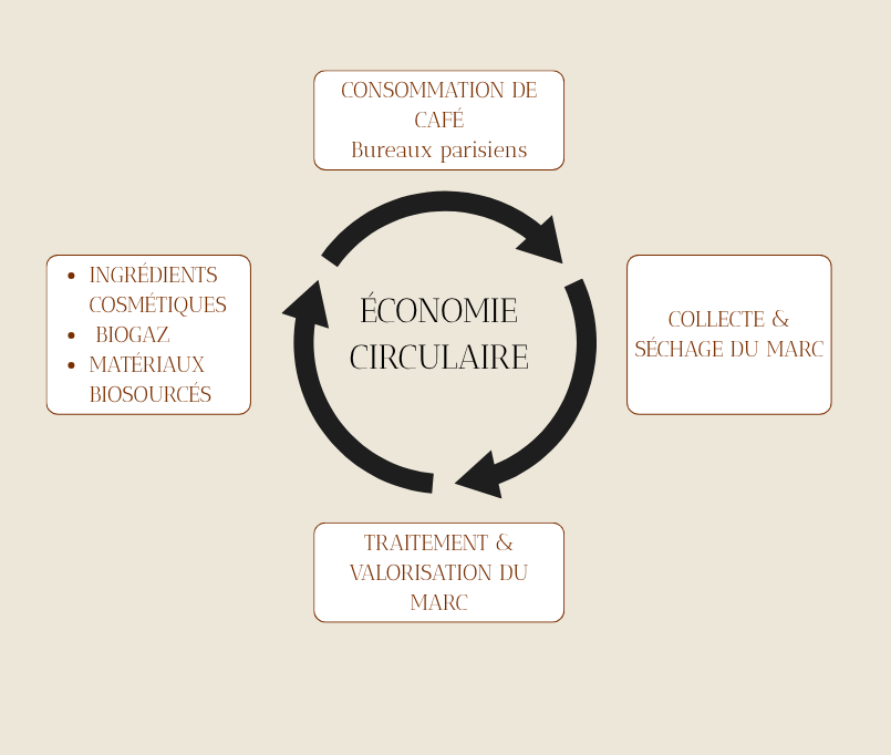 Cycle économie circulaire Marco Biotech